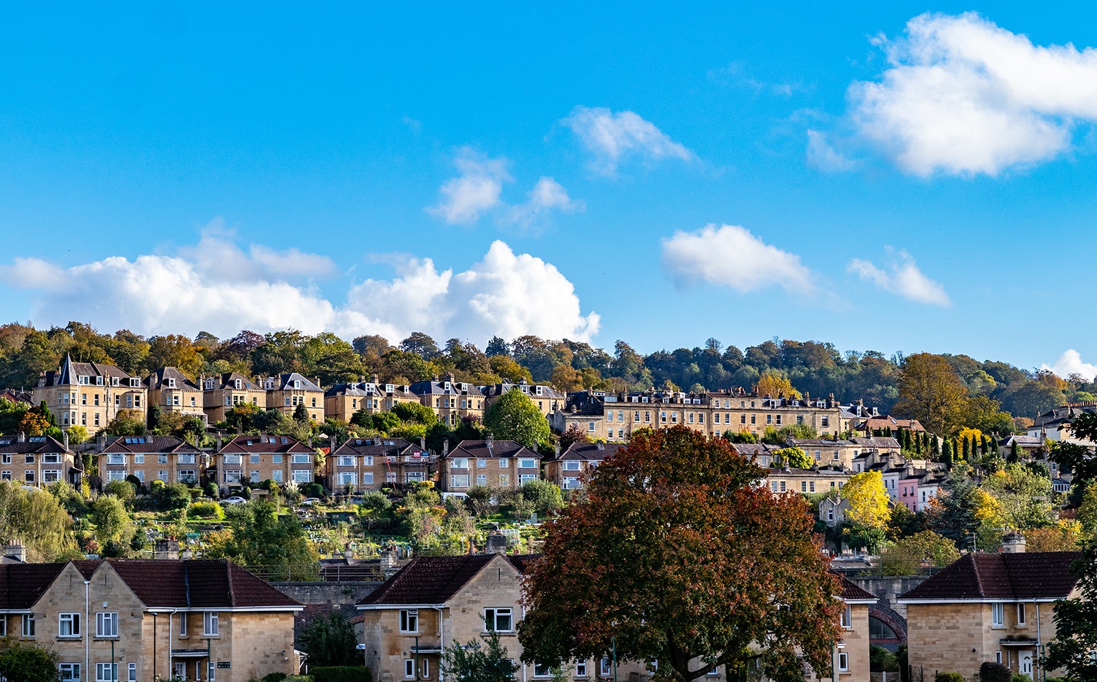 Somerset housing